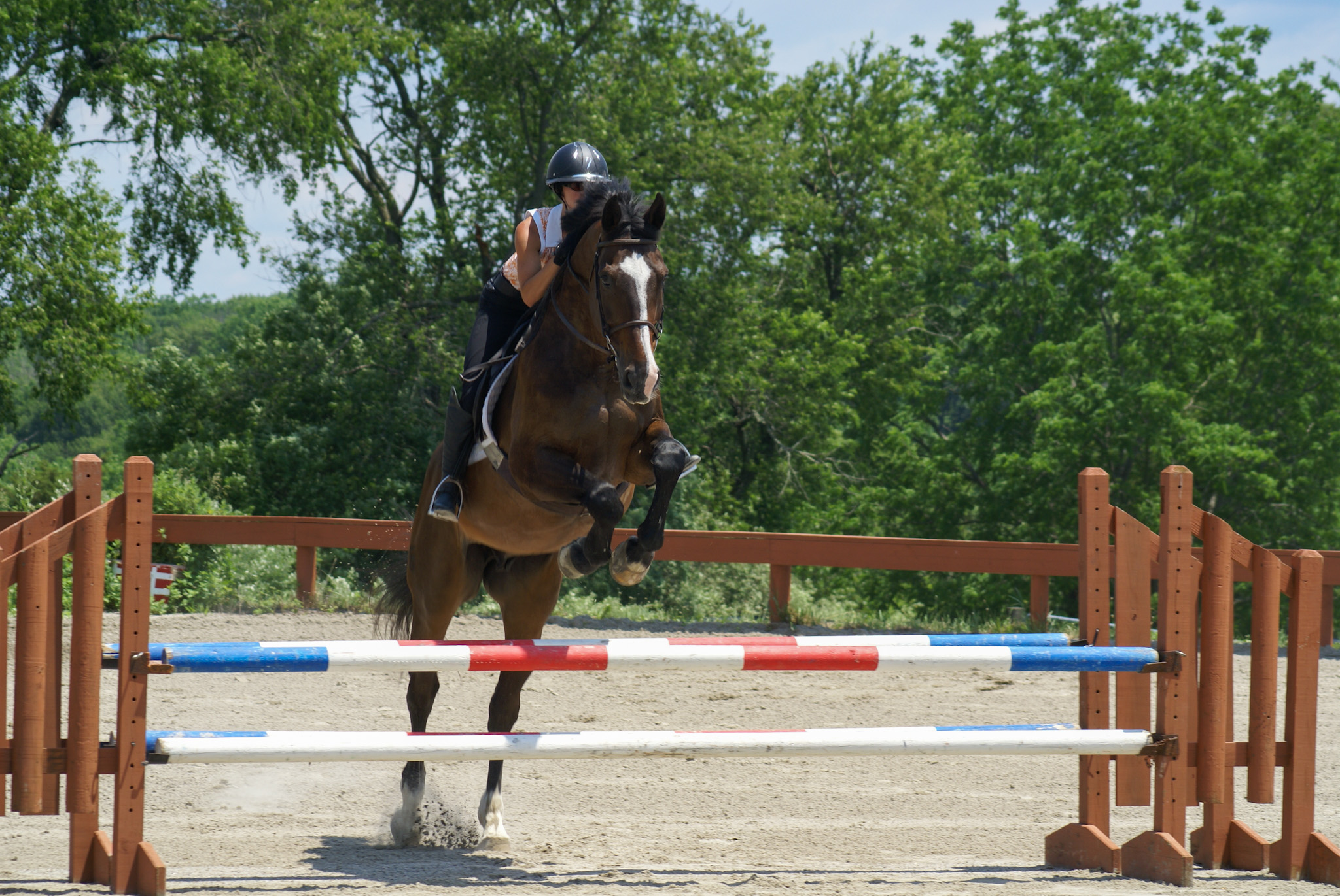 Horse jumping at Furlyn Farm